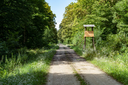 Hunting and observatory tower used for watching wildlife, standing by the gravel road in the center of Turopoljski Lug, famous hunting grounds near the city of Zagreb, Croatiaの写真素材