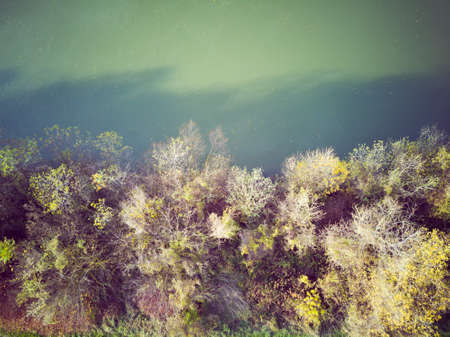 Top down of river Sava edge with autumn, leafless trees rising above the green water surfaceの写真素材