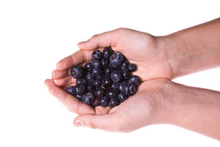 Delicious fresh organic blueberries in two cupped handsの写真素材