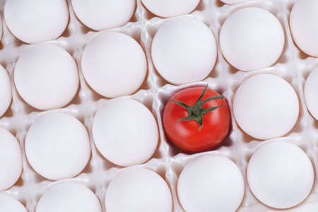 Red tomato in the egg crateの写真素材