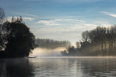 Foggy autumn morning on branches of Danube river in Slovakia.の写真素材