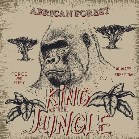 Vintage label with gorilla .Grunge effect.Textile designのイラスト素材