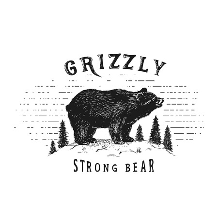 Strong bear in forest.Vintage old label. Hand drawn vector illustrationのイラスト素材