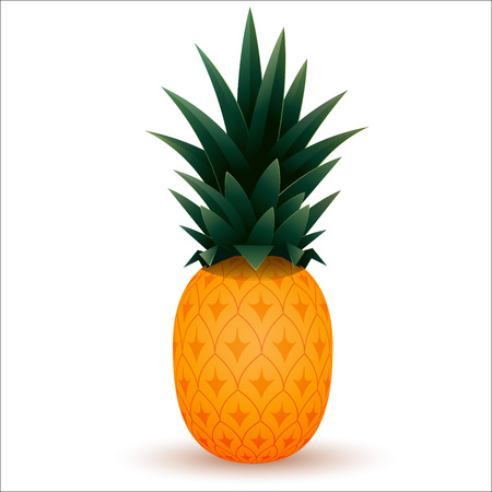Cartoon ananas isolated on white background.Vector illustrationのイラスト素材