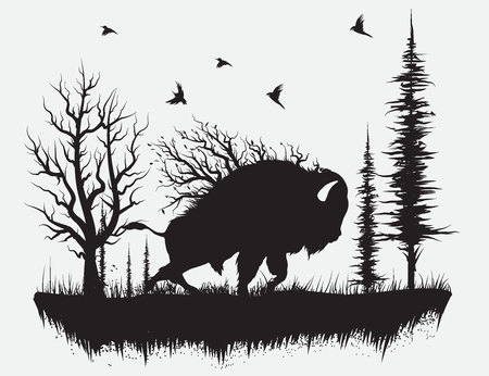 Buffalo walking in the forest.Hand drawn vector illustrationのイラスト素材