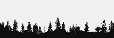 realistic forest silhouette on white background.View to panorama of trees.Vector nature designのイラスト素材