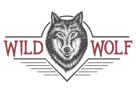 wild wolf vectorのイラスト素材