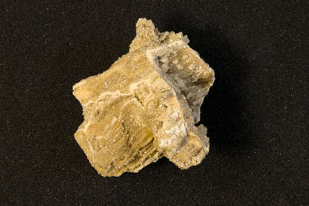 Ancient old petrified wood, excavation, minerals, on black background close up front view Narrow...