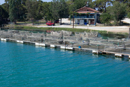 White fish traps in water with fish allowing not to die. Angling accessories. Fish trap or tank and...