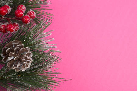 Christmas fir branch with berries and cones, sprinkled with snow on bright pink textured background close-upの写真素材