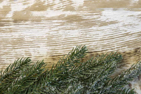 Christmas fir branch with berries and cones, sprinkled with snow on light wooden background close-up with copy spaceの写真素材