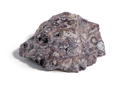 Pelitic Schist Rock isolated on White Background