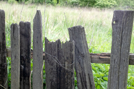 A fence made of roughly processed boards. A palisade of rough logs. Sun rays, sunny day perspective viewの写真素材