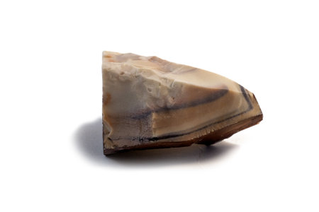 Pelitic Schist Rock placed isolated on white Background close upの写真素材