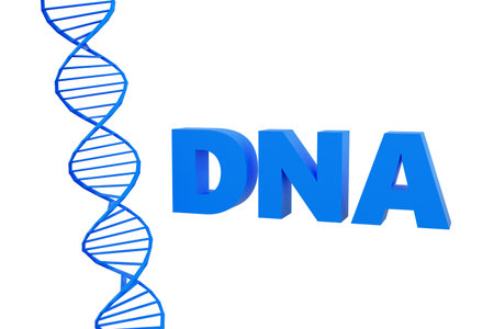 Luxury blue inscription DNA on gray podium, soft light, smooth background, 3d render illustrationの写真素材
