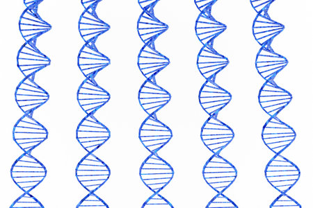 Luxury blue DNA chain on gray podium with empty boxes, soft light, smooth background, 3d render illustrationの写真素材