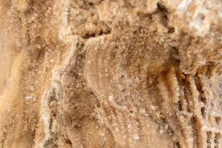 Ancient old petrified wood, excavation, minerals, as nice background Narrow focus line, shallow depth of field macroの写真素材