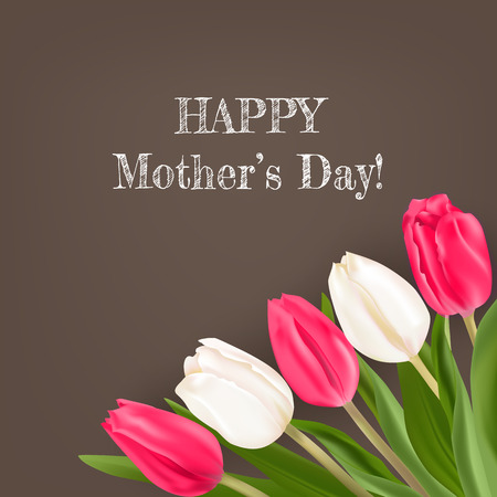 Realistic vector tulips. Crimson and white spring flowers. Ready template for greeting cards.のイラスト素材