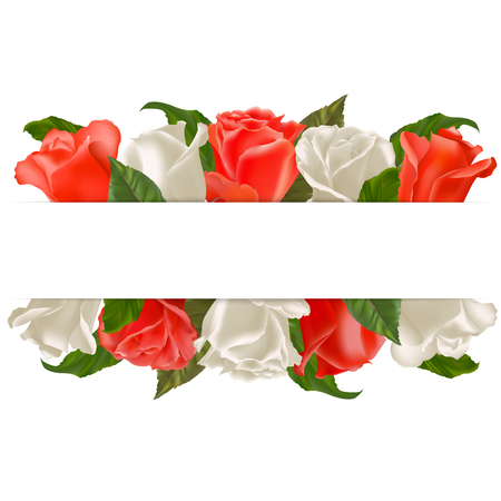 Realistic vector roses on white background. Red and white flowers. Ready template for greeting cards. Flowers and leaves vector. Card with place for congratulation for any kind of celebration.のイラスト素材