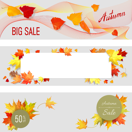 Set of autumn banners with red, yellow maple, birch, oak leaves on a light background. Big autumn sales text. Banner with place for your promotion text. Naturalistic leaves.のイラスト素材