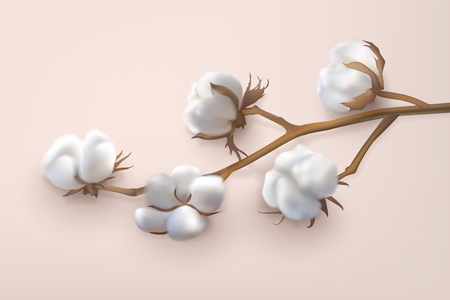 Beautiful photo realistic vector branch of cotton on a pink background. Perfect for wallpapers, web page backgrounds, surface textileのイラスト素材