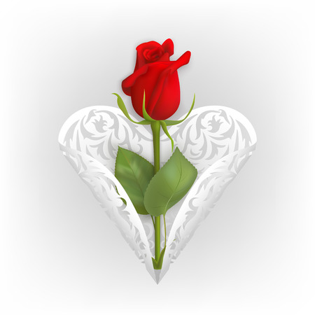 White cut out ornamental heart and photo realistic red rose on a white background. A beautiful red rose bud into the heart. Vector illustration. Saint Valentines day greeting card.のイラスト素材