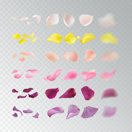 Set of naturalistic rose petals on a transparent background. Yellow, peach, purple, pink, lavender photo realistic petals in different shape and focal distance, big, small, blurred isolated objects.のイラスト素材