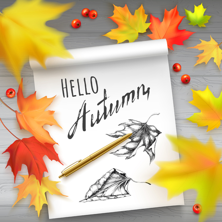 Vector illustration with autumn leaves of maple and album with hand painted leaves and text Hello Autumn. Photorealistic leaves big, small, blurry.のイラスト素材
