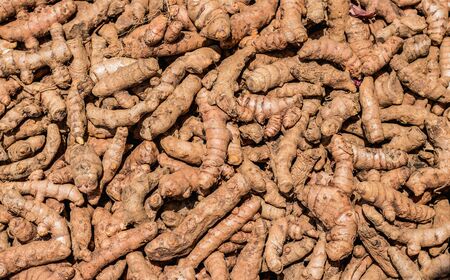 Lots of thin, unpeeled ginger roots lying on top of each otherの写真素材