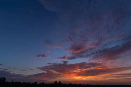 Beautiful clouds on the blue sky after sunset. Blue hour. Silhouettes of trees on the horizonの写真素材