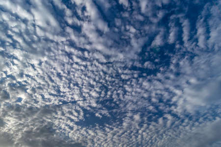 Cumulus clouds against the blue sky. Clouds of different sizes