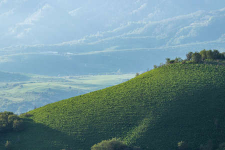 A large mountain cliff is a hill with a huge amount of green vegetation and trees. In the background, the foothills in the hazeの写真素材