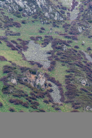 Part of a mountain slope with green grass, purple bushes and stone landslides.の写真素材