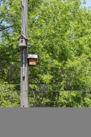 Two old wooden birdhouses hang from a pole. Against the background of tree branches with green...