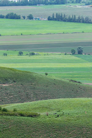 View of mountain hills and agricultural fields in vegetationの写真素材