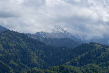 Behind the hills with coniferous forests, snowy peak mountains behind the cloudsの写真素材