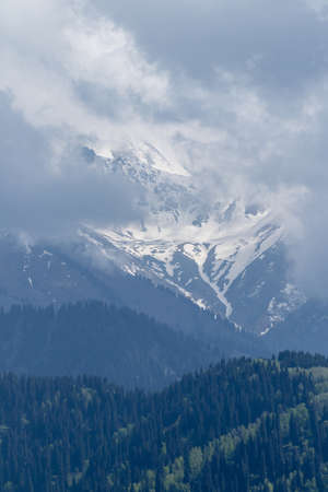 View of the snowy gorge high in the mountains. Coniferous trees on the slopesの写真素材