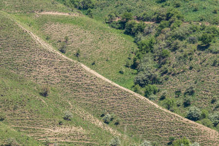 A well-trodden path on the side of a mountain hill among the vegetation. Horizontal direction from top to bottomの写真素材