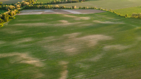 A view from above of a large field with seedbeds.の写真素材