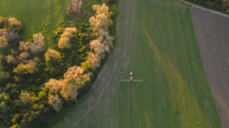 Tractor rides on a field with seedbeds near the forest belt. view from above.の写真素材