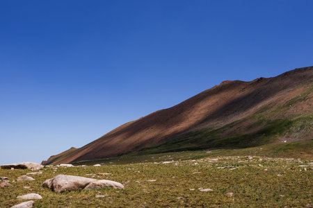 A meadow with green grass high in the mountains. summer timeの写真素材