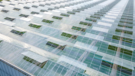 Ventilation system of the greenhouse for growing plants. View from aboveの写真素材