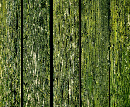 Green paint peeling from picket fence boards. Wood grainの写真素材