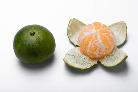 tangerineの写真素材