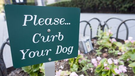 sign, green white, Please curb your dog, city sidewalk, walkway