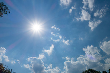 high sun on blue sky day with clouds and tree leaves