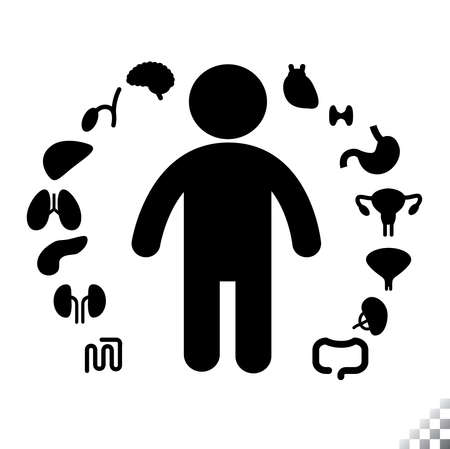 silhouette human figure with soild icons of internal organs torsoのイラスト素材