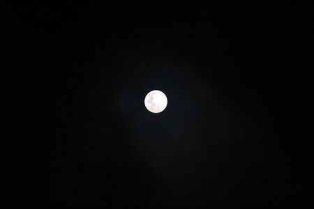 MOONのeditorial素材