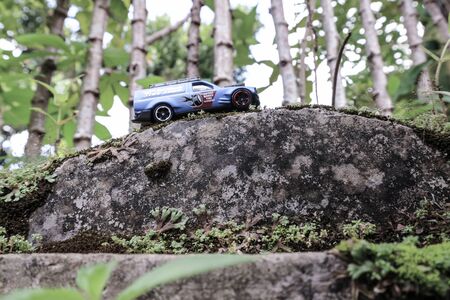 pickupのeditorial素材