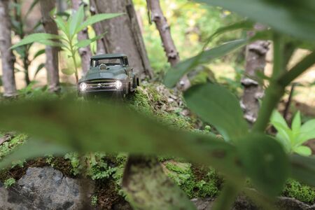 pickupのeditorial素材